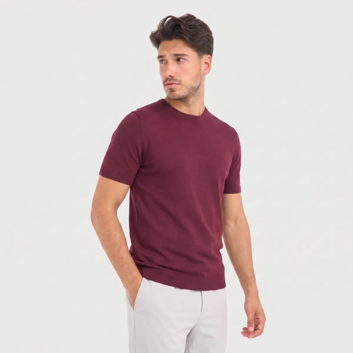 Blue Indus Blue Industry Knitted T-Shirt KBI-M17 – Wine